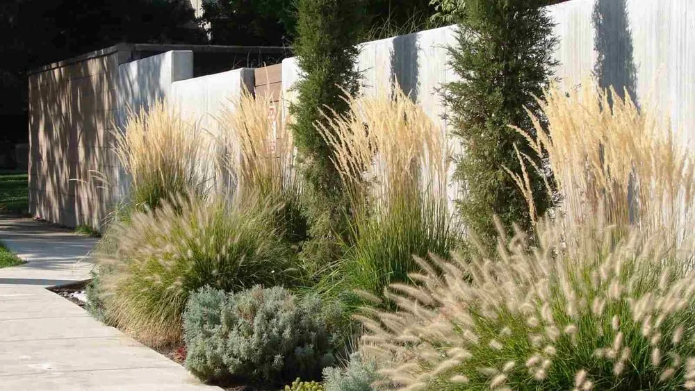 Local garden landscaping experts serving Camas, WA - Nova Outdoor Construction