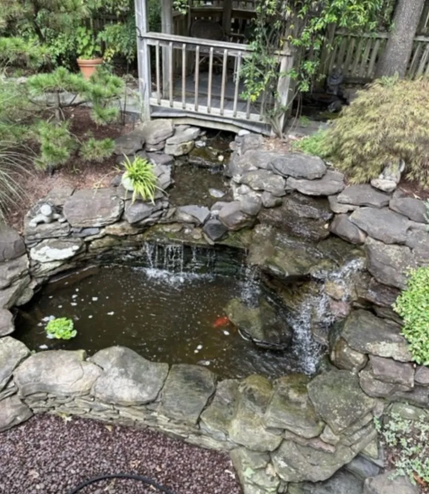Professional outdoor landscaping with custom design across Arlington, VA - NOVA Ponds