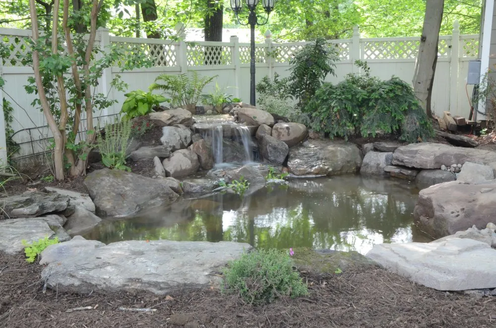 Professional landscape design in Arlington, VA by NOVA Ponds