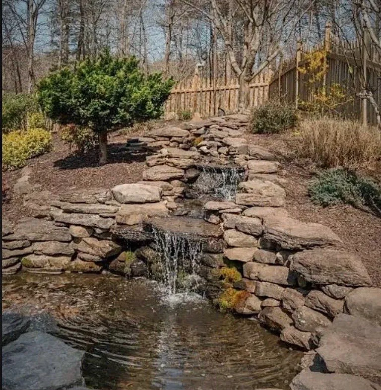 Local landscape installation in Arlington, VA - NOVA Ponds