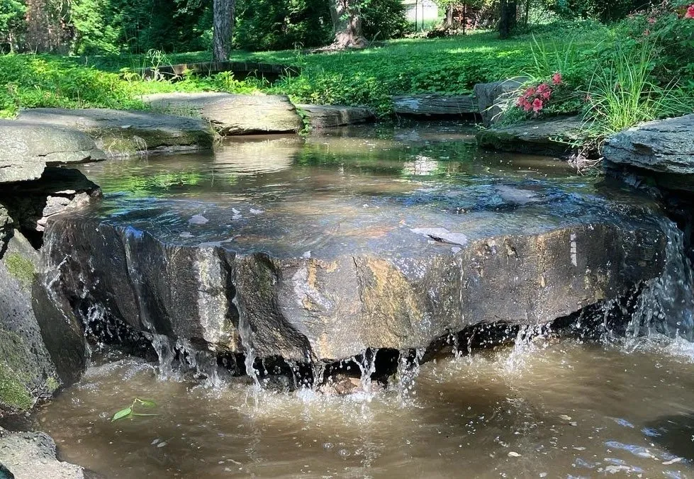 Affordable lawn mowing service near you in Arlington, VA by NOVA Ponds