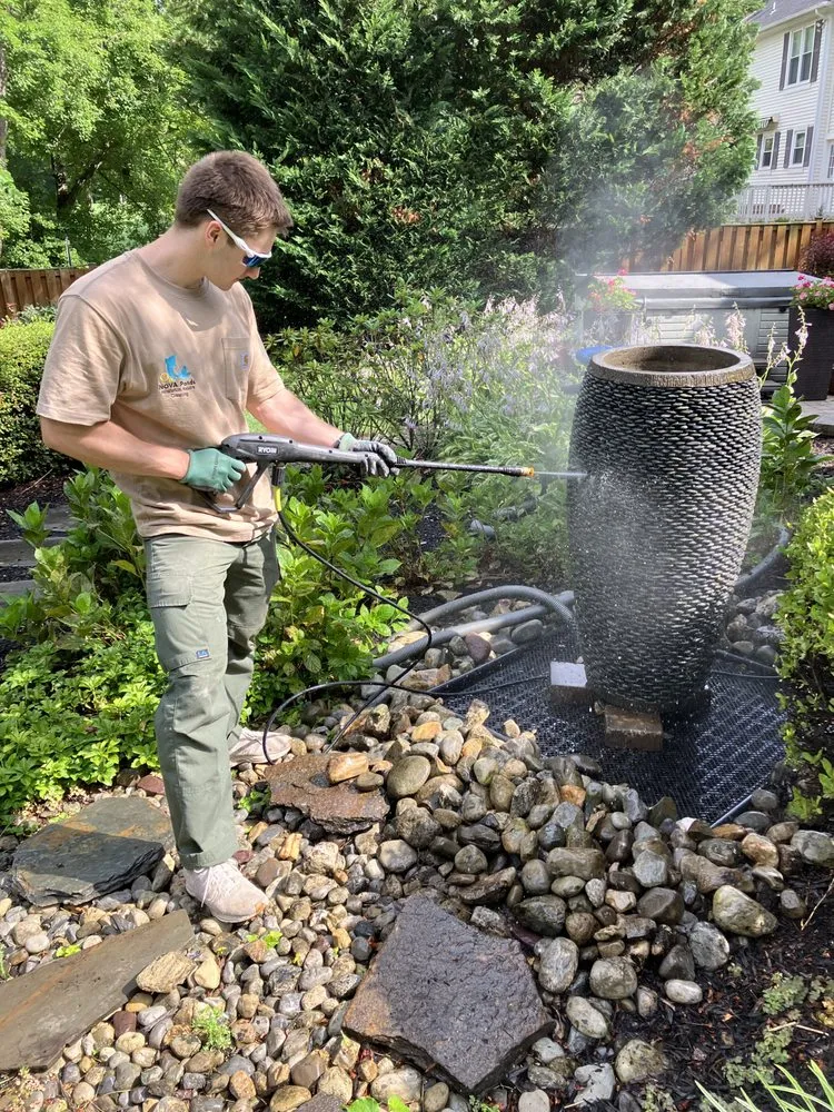 Affordable garden landscaping in Arlington, VA - NOVA Ponds