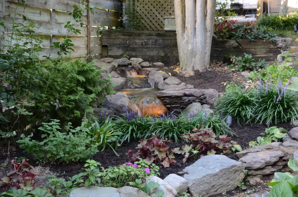 Reliable landscaping services for outdoor upgrades in Arlington, VA by NOVA Ponds