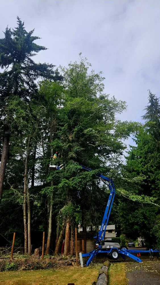 Custom landscape design for beautiful yards in Sequim, WA by Nova Preservation