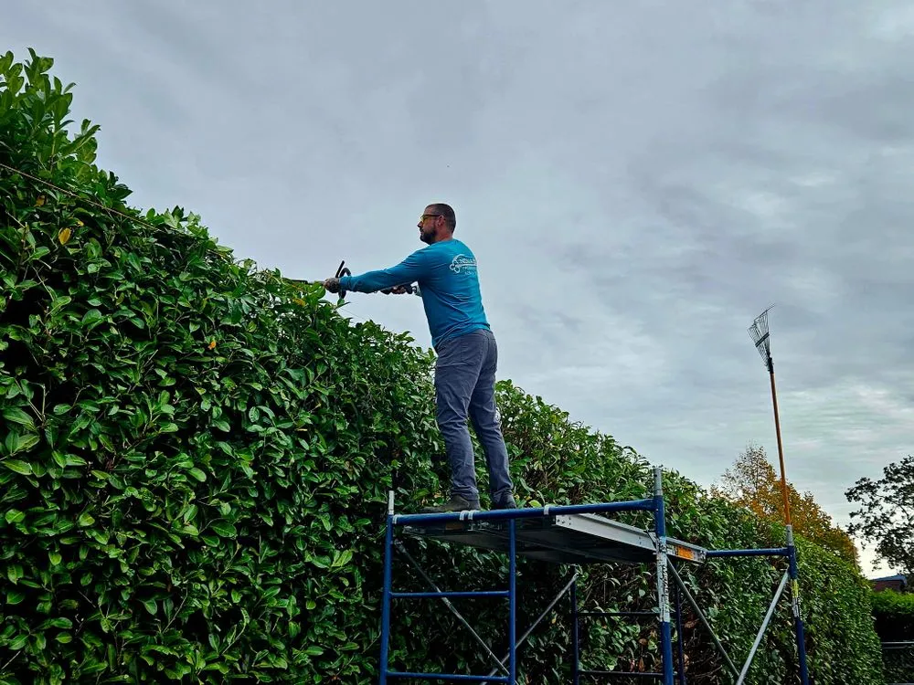 Custom landscape design in Sequim, WA - Nova Preservation