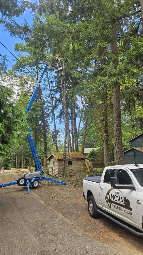 Local yard maintenance for residential properties in Sequim, WA by Nova Preservation