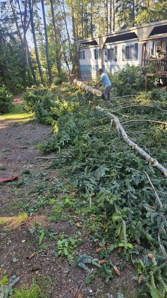 Expert yard cleanup service experts serving Sequim, WA - Nova Preservation