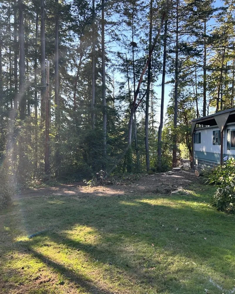 Expert yard cleanup service in Sequim, WA by Nova Preservation