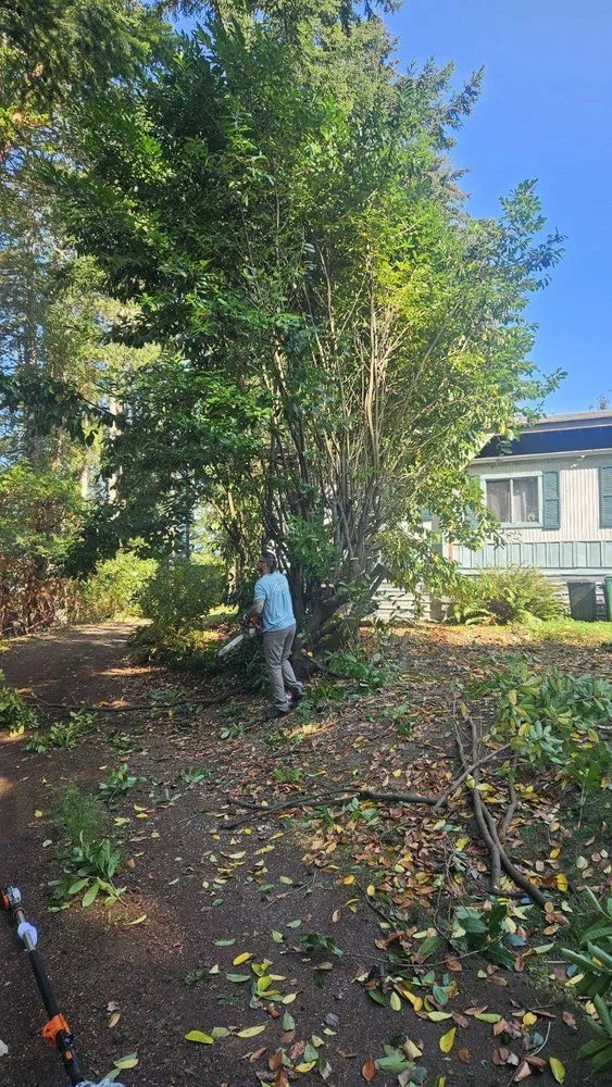 Custom lawn mowing service near you in Sequim, WA by Nova Preservation