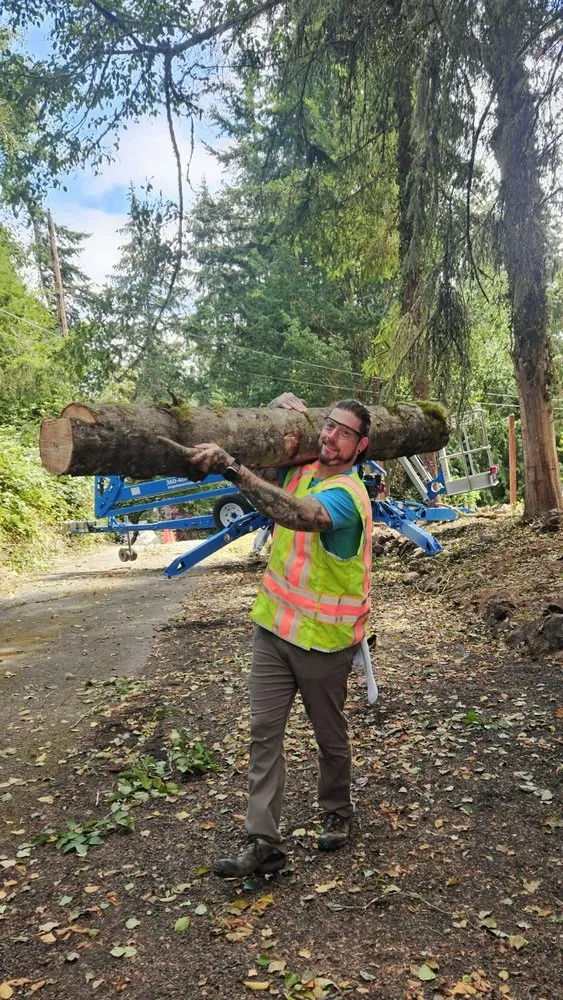 Top-rated lawn mowing service experts serving Sequim, WA - Nova Preservation