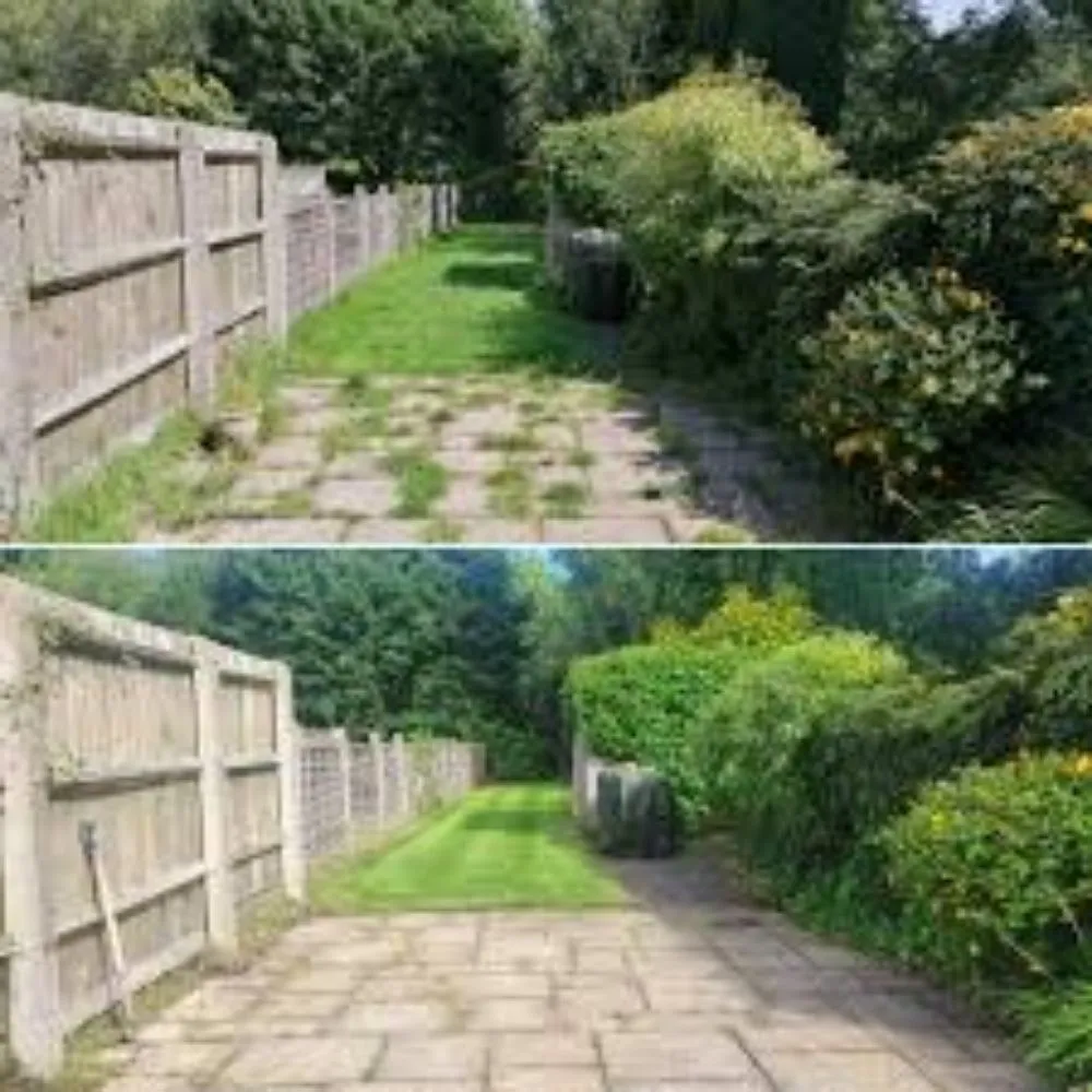 Top-rated lawn care service for residential properties in Melbourne, FL by Nova-Starr Home Solutions