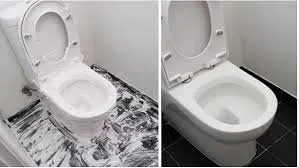 Expert garden landscaping in Melbourne, FL by Nova-Starr Home Solutions