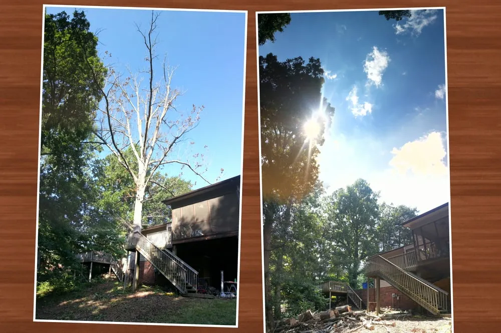 Top-rated landscaping services in Concord, NC - Nova Tree Care Inc.