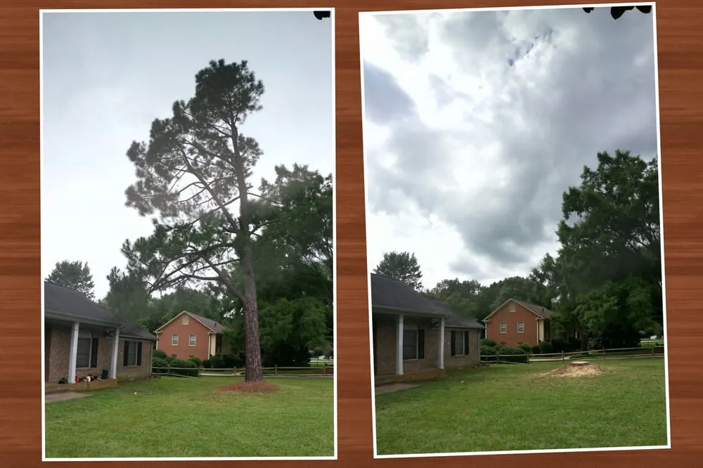 Trusted landscape installation experts serving Concord, NC - Nova Tree Care Inc.