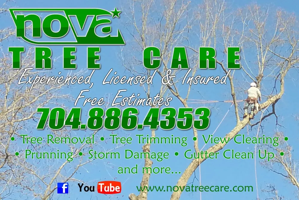 Trusted yard cleanup service in Concord, NC by Nova Tree Care Inc.