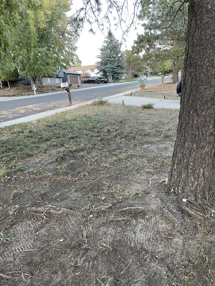 Trusted landscaping services for year-round maintenance in Colorado Springs, CO by Nova Yard Care