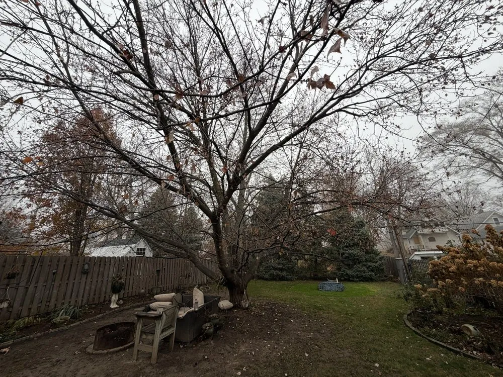 Affordable landscape design for residential properties across Omaha, NE - Novafusion Contractor