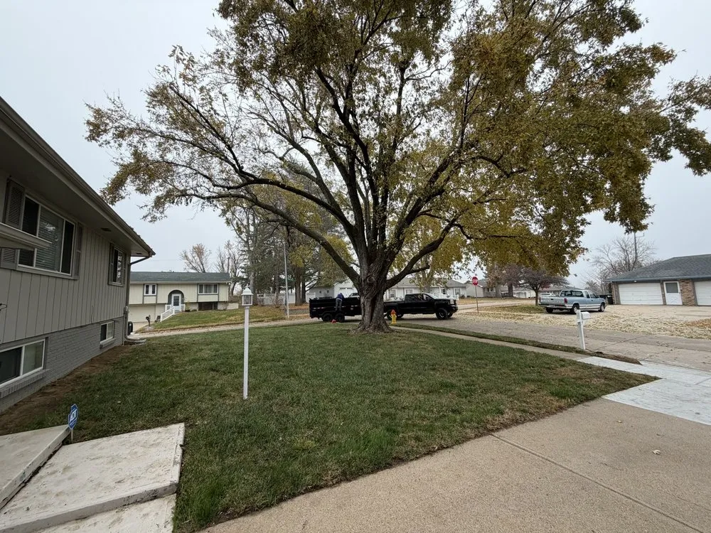 Expert yard maintenance for outdoor upgrades in Omaha, NE by Novafusion Contractor