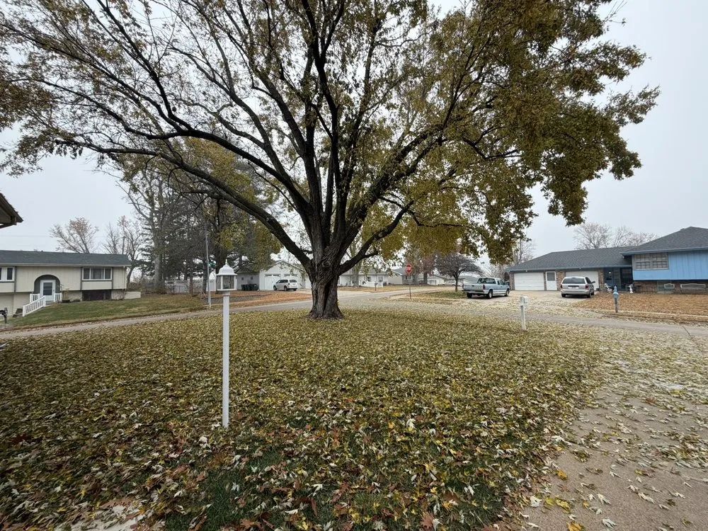 Custom outdoor landscaping experts serving Omaha, NE - Novafusion Contractor