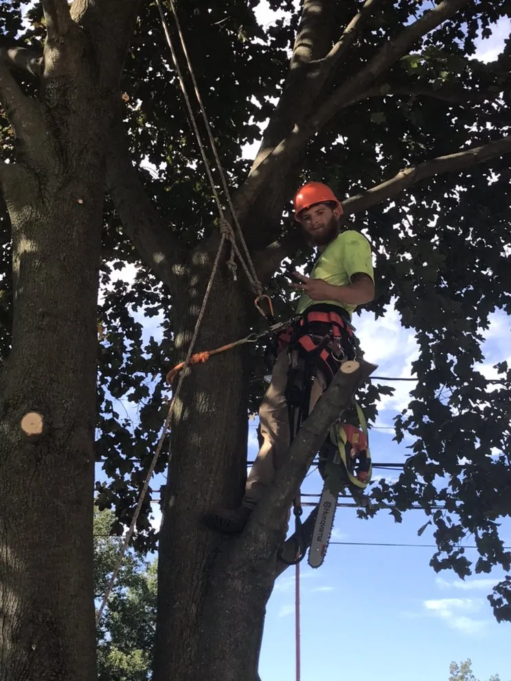 Expert landscape design for beautiful yards in Barberton, OH by Novak’s Lawn & Tree Services