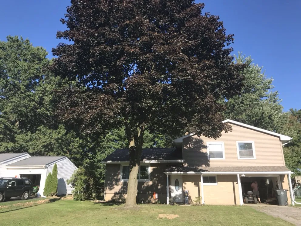 Affordable yard cleanup service in Barberton, OH by Novak’s Lawn & Tree Services