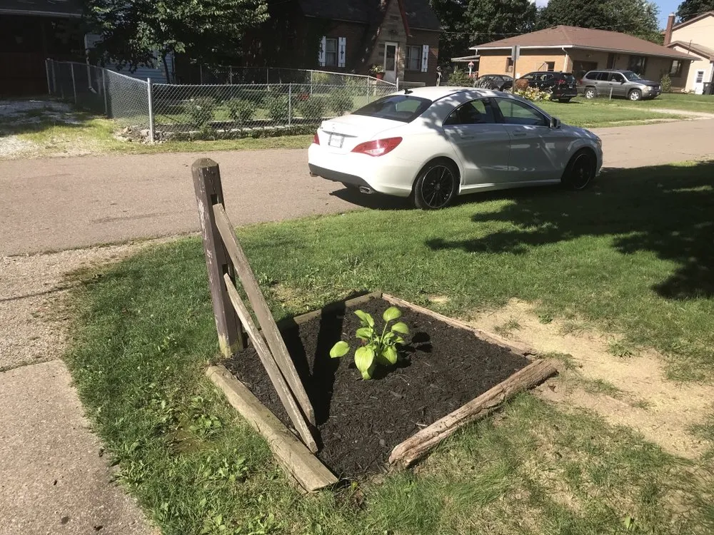 Local outdoor landscaping experts serving Barberton, OH - Novak’s Lawn & Tree Services