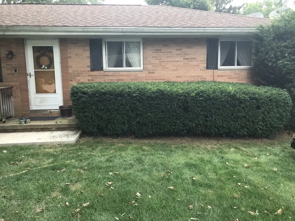 Professional residential landscaping experts serving Barberton, OH - Novak’s Lawn & Tree Services