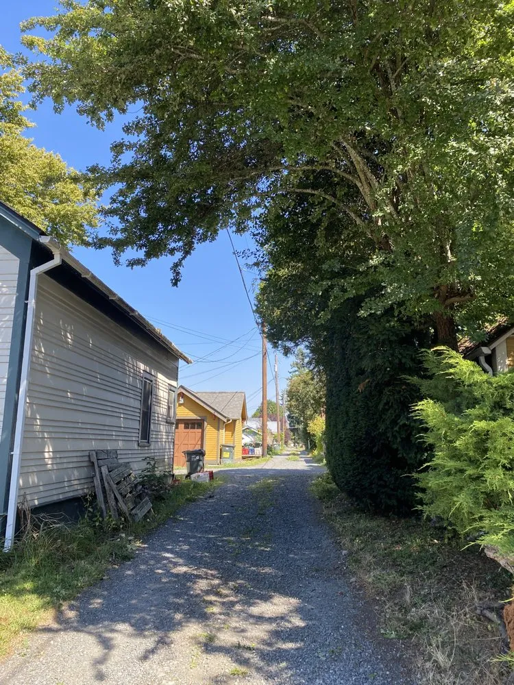 Professional yard cleanup service in Bellingham, WA by Novara