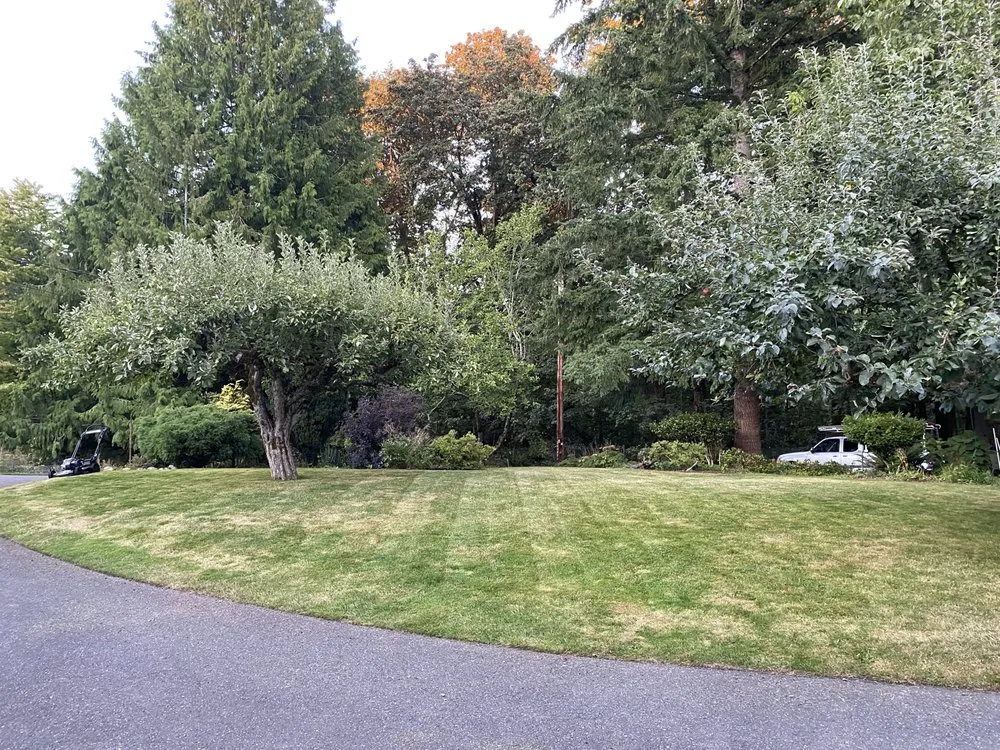 Local garden landscaping for residential properties across Bellingham, WA - Novara