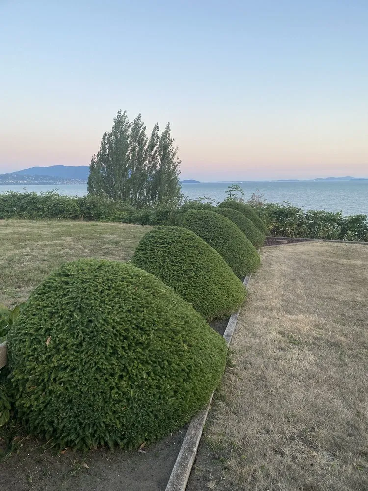 Top-rated yard cleanup service in Bellingham, WA - Novara