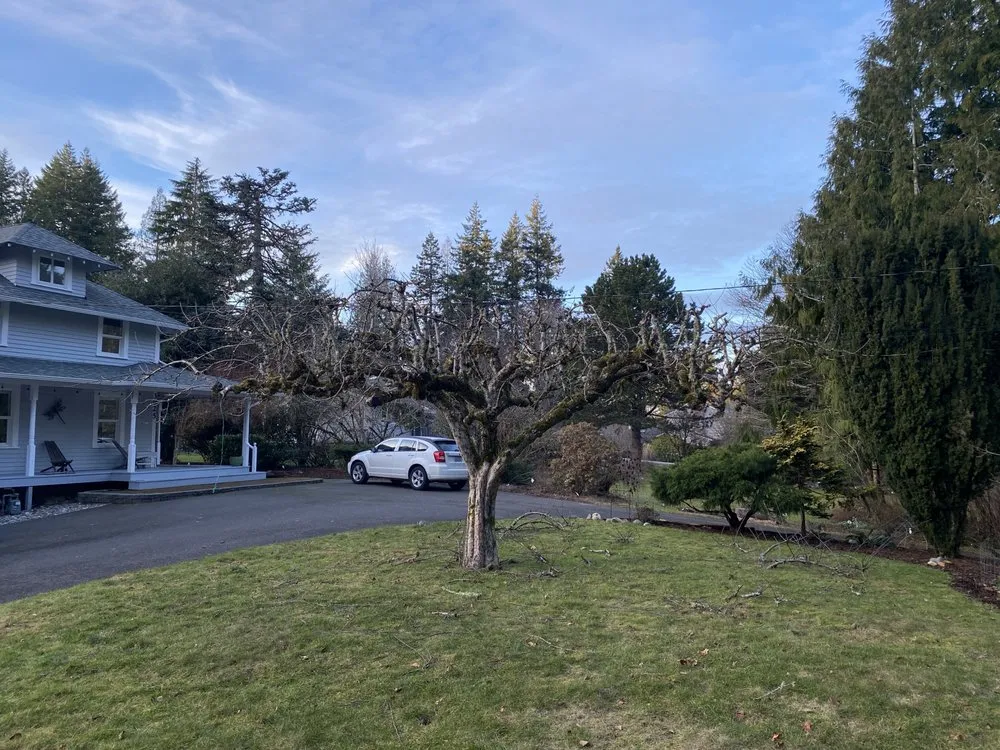 Expert lawn care service in Bellingham, WA by Novara