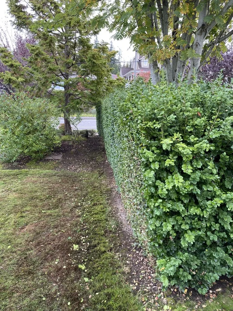 Reliable residential landscaping for outdoor upgrades in Bellingham, WA by Novara