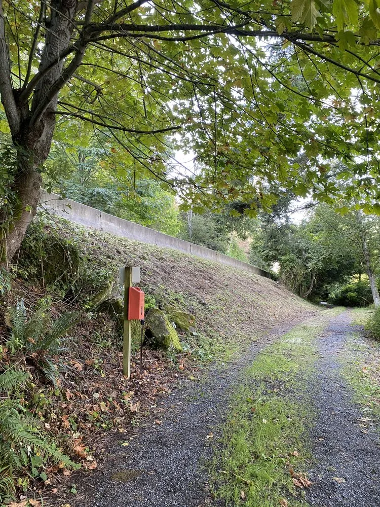 Top-rated lawn care service experts serving Bellingham, WA - Novara