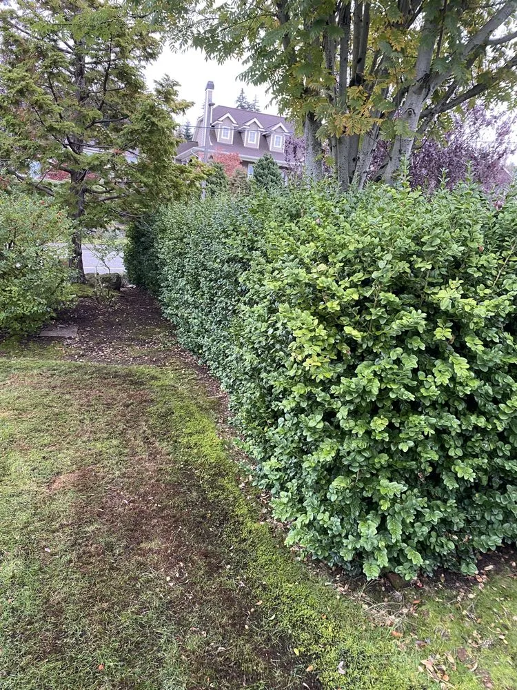 Custom residential landscaping in Bellingham, WA by Novara