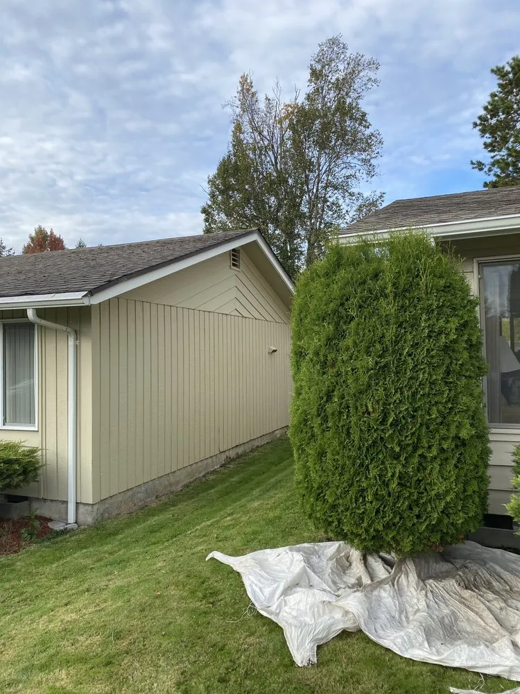 Expert yard cleanup service for homes in Bellingham, WA by Novara