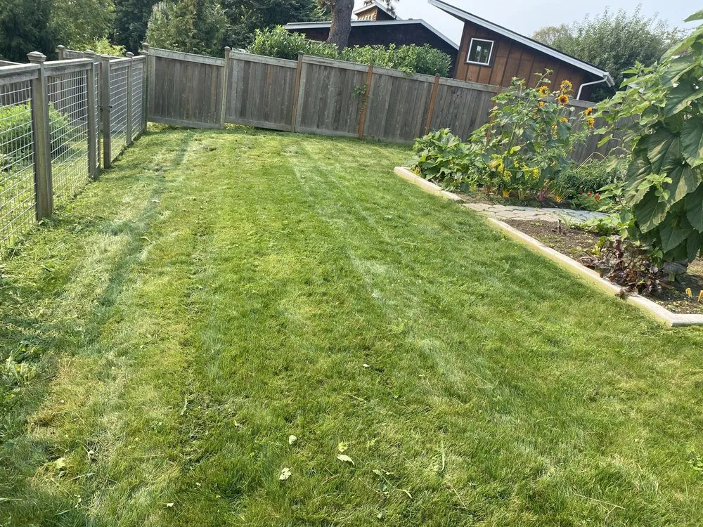 Top-rated outdoor landscaping in Bellingham, WA by Novara