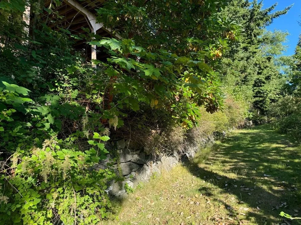 Top-rated landscape installation experts serving Bellingham, WA - Novara