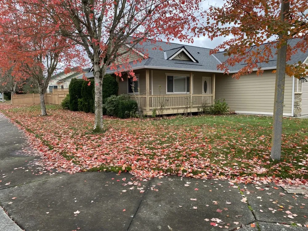 Local landscaping services in Bellingham, WA - Novara