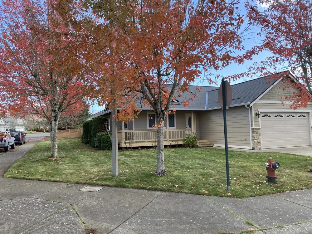 Affordable lawn care service in Bellingham, WA by Novara