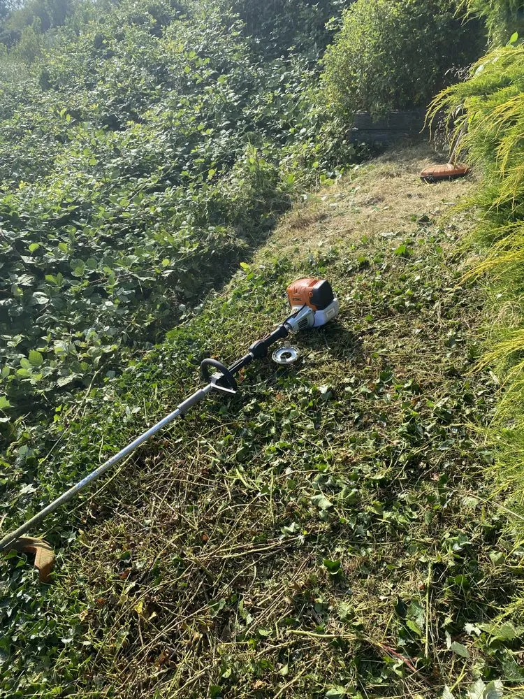 Top-rated lawn care service for year-round maintenance in Bellingham, WA by Novara