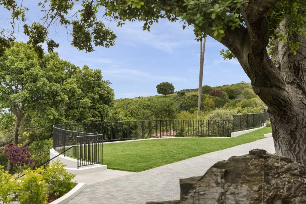 Trusted yard cleanup service for year-round maintenance across Petaluma, CA - Novara Landscape and Construction