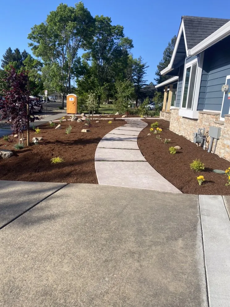Professional yard cleanup service in Petaluma, CA by Novara Landscape and Construction