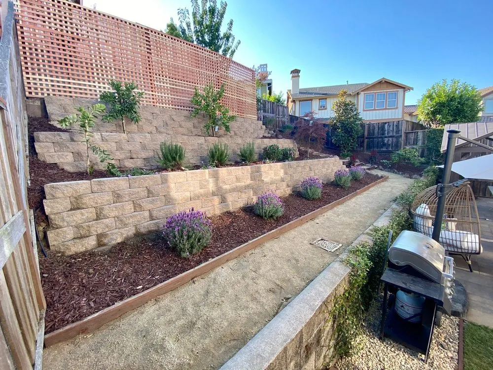 Professional yard cleanup service in Petaluma, CA by Novara Landscape and Construction