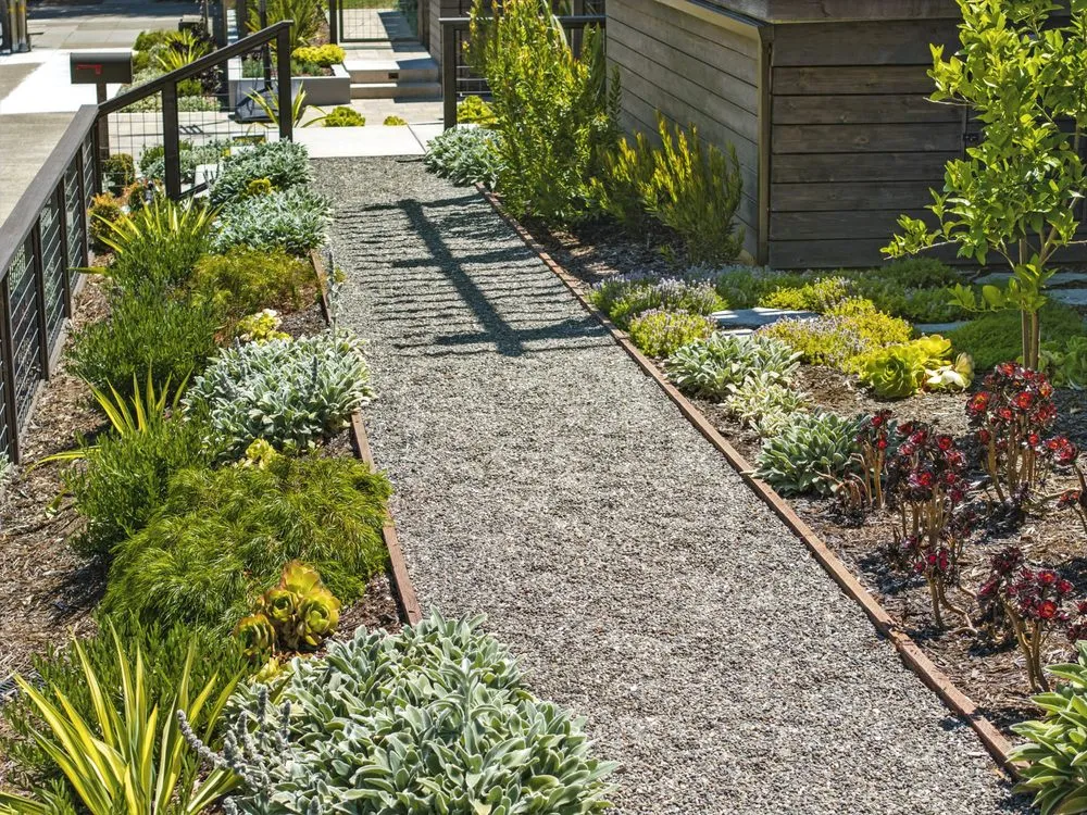Custom yard maintenance experts serving Petaluma, CA - Novara Landscape and Construction