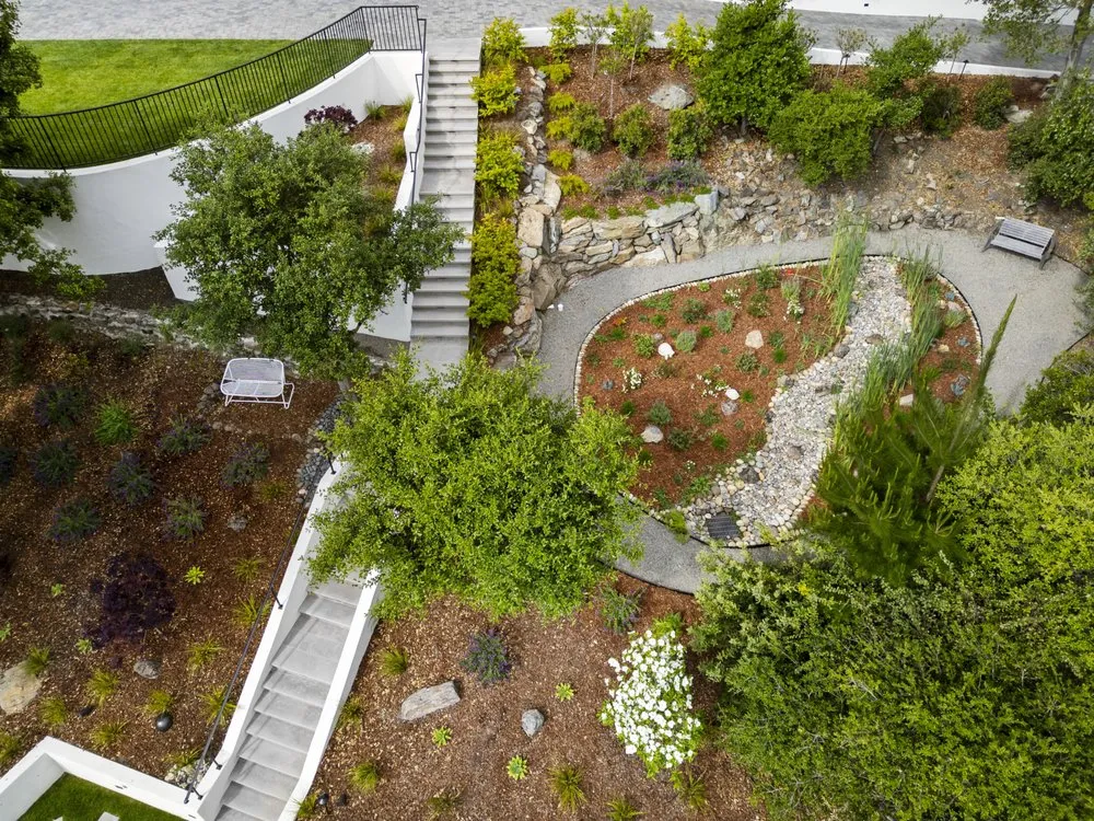 Professional yard maintenance in Petaluma, CA by Novara Landscape and Construction