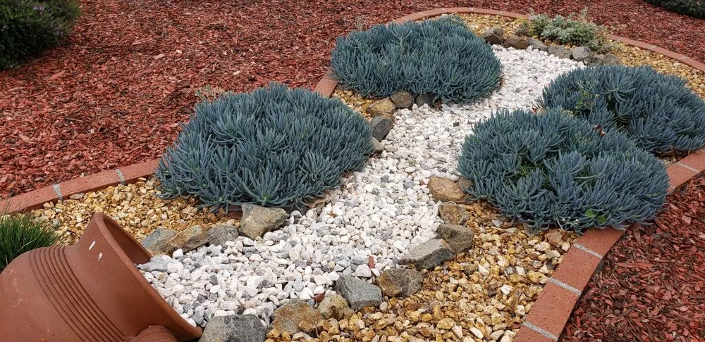 Reliable landscape installation experts serving Hemet, CA - NovaScape Solutions