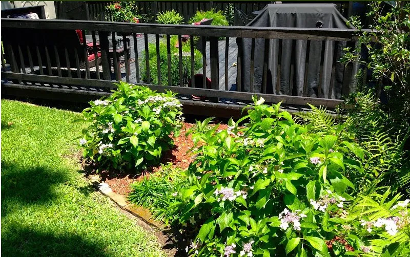 Top-rated lawn mowing service in Tyler, TX by Novation Landscapes and Irrigation