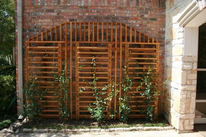 Professional landscape design for year-round maintenance across Tyler, TX - Novation Landscapes and Irrigation