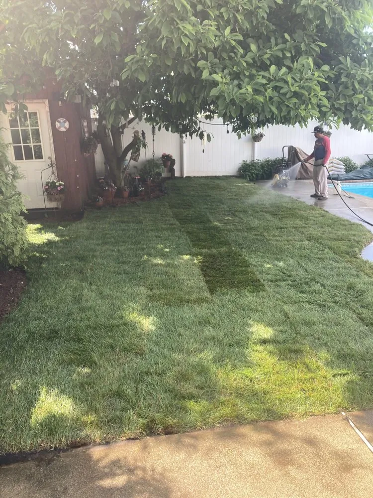 Custom lawn care service for residential properties across Kearny, NJ - Novay’s Lawn Care Service