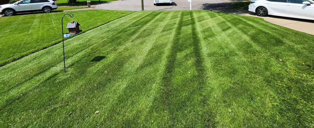 Local residential landscaping for homes across Chesapeake, VA - Novel Lots